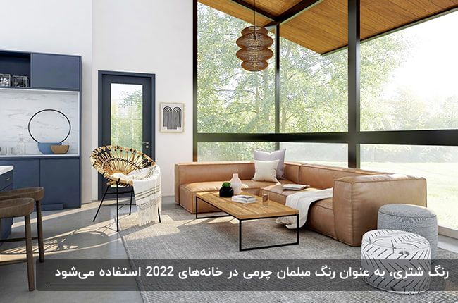 عجیبترین ترندهای دکوراسیون خانه در سال ۲۰۲۲ 1 مبلمان رنگ شتری، رنگ محبوب سال 2022
