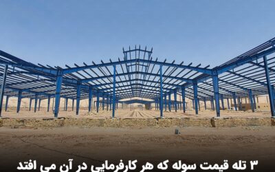 ۳ تله قیمت سوله که هر کارفرمایی در آن می افتد